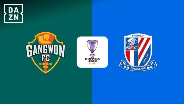 和后卫金顺, 汪海健之前 和后卫金顺, 汪海健之前