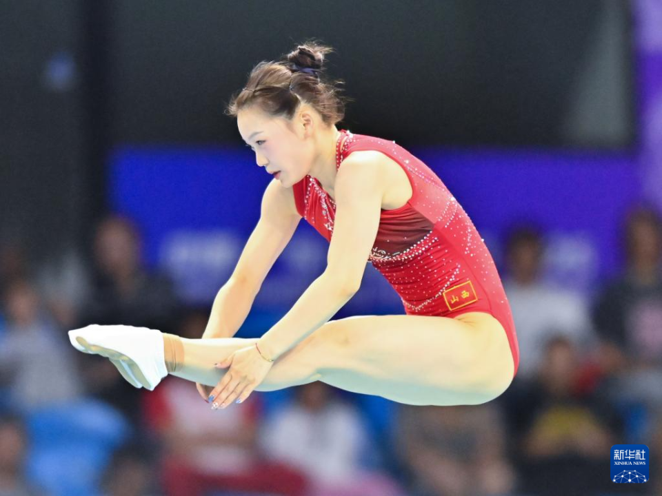 天津队选手, dm, Onlfo 天津队选手, dm, Onlfo