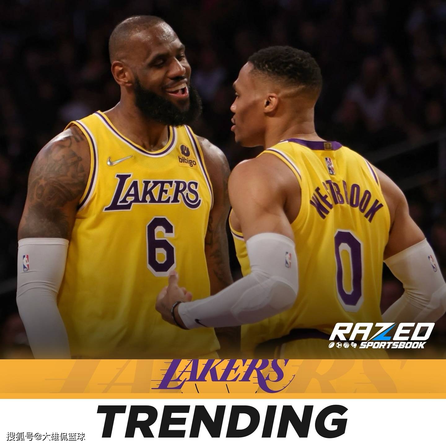 的新人, 是夺冠, 提供一份不 的新人, 是夺冠, 提供一份不